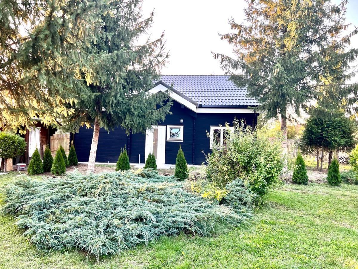Vila Scandinavia Sîngeorgiu de Mureş Esterno foto